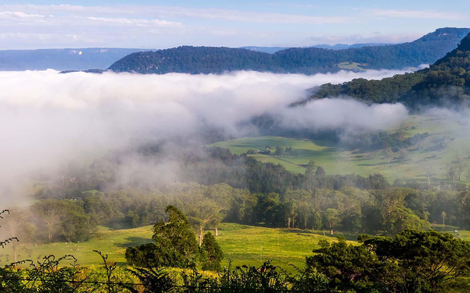 h2 New Horizon Properties